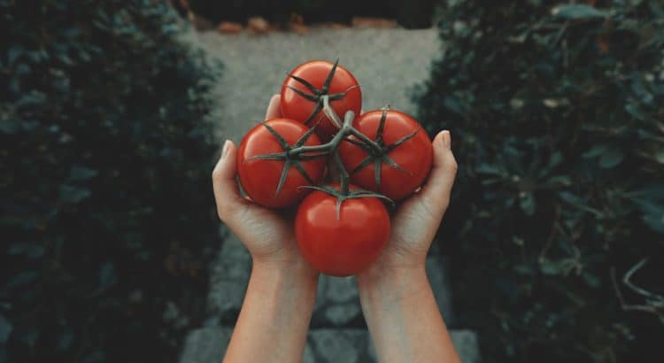 découvrez des conseils et des astuces pour améliorer votre bien-être au quotidien. apprenez à gérer le stress, à cultiver une attitude positive et à adopter un mode de vie sain grâce à des pratiques simples et efficaces.