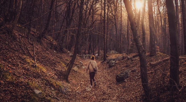 découvrez comment planifier une promenade romantique inoubliable avec des conseils sur les lieux pittoresques, les moments idéaux et les éléments à emporter pour créer une atmosphère magique. faites de chaque pas un souvenir mémorable avec votre partenaire.