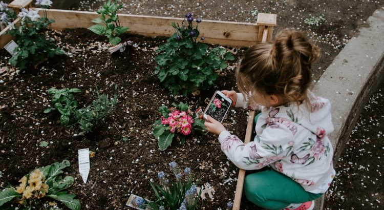 découvrez l'univers des jardins : astuces de jardinage, design paysager, plantes variées et conseils pour créer un espace vert harmonieux à la maison. transformez votre jardin en oasis de paix et de beauté.