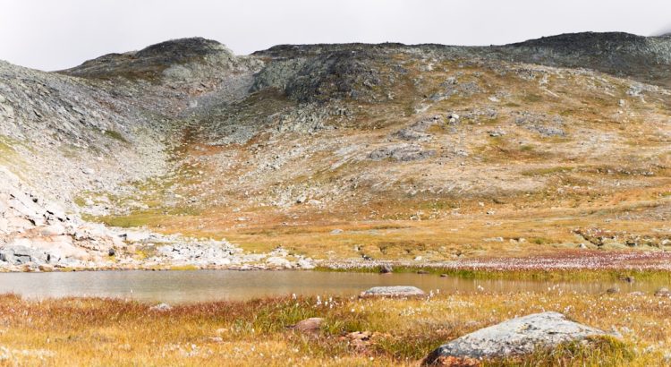 découvrez le monde fascinant de la randonnée avec nos conseils, itinéraires et astuces pour profiter pleinement de chaque aventure en pleine nature. préparez-vous à explorer des paysages époustouflants et à vivre des moments inoubliables.